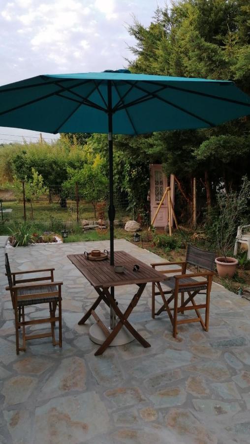 Tiny House By The Sea Villa Nea Skioni Exterior photo